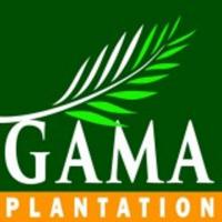 GAMA PLANTATION